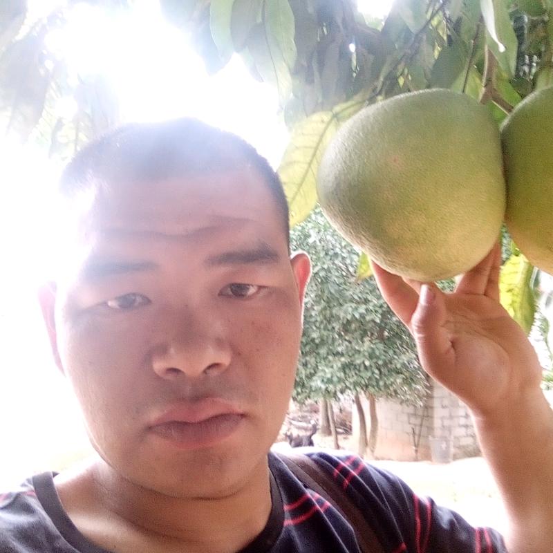 高家老三  海鲜水产