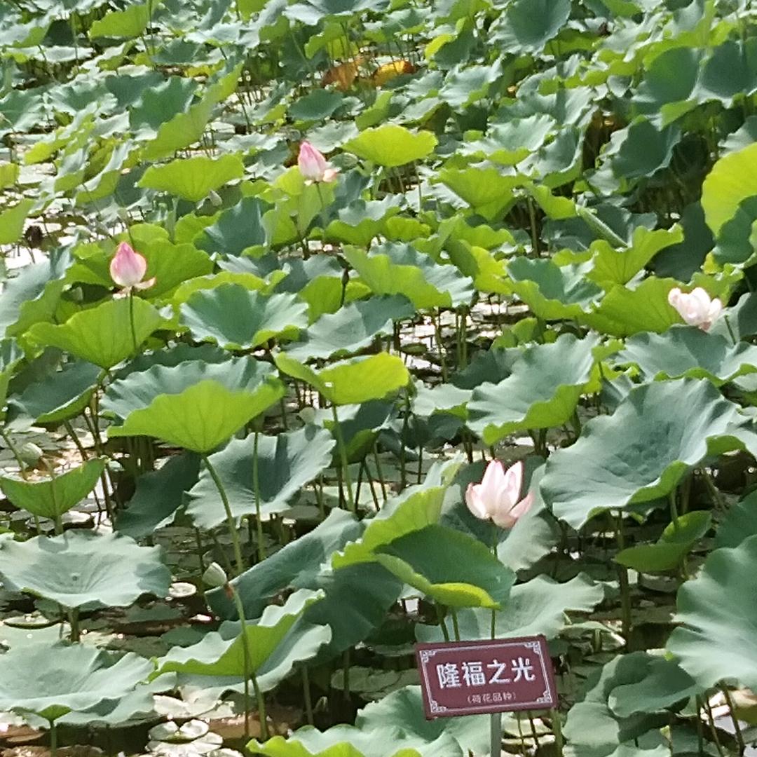 用户4337125768833