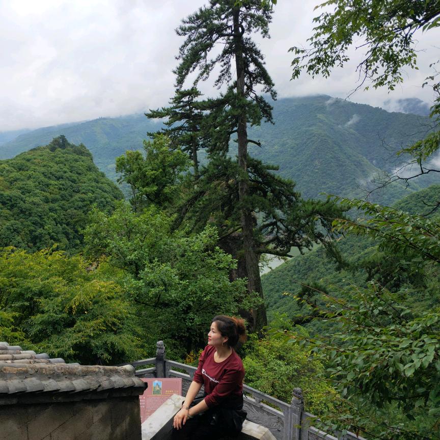 忘忧（目前单身）