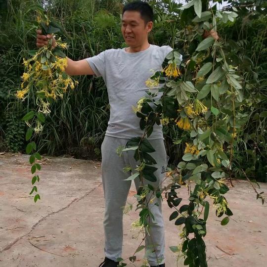 坦诚待人