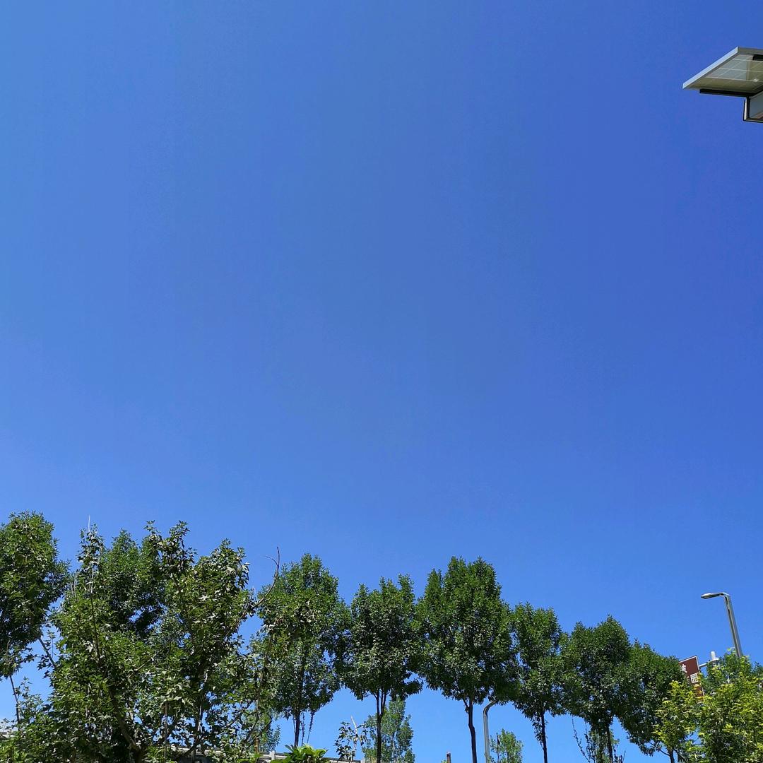 仰望蓝天