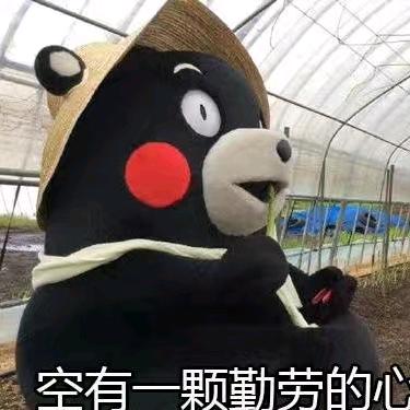 发财恭喜