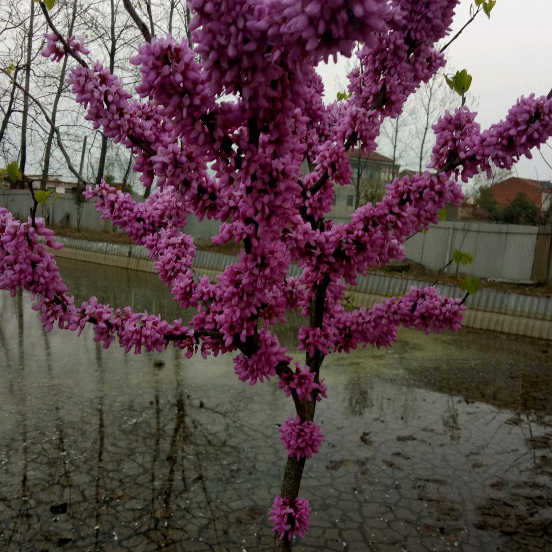 @幸福一家人🌹