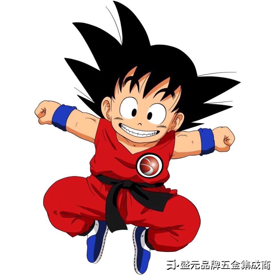 盛元智能门控五金｜刘墙