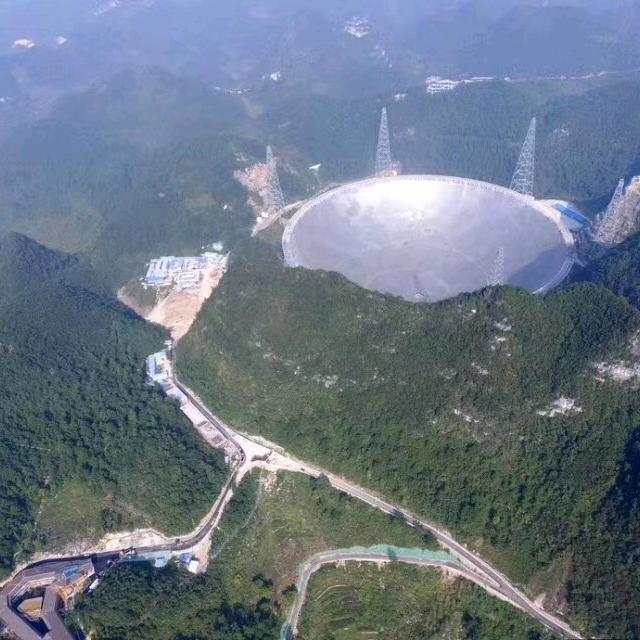 从中乐