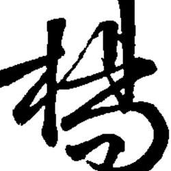 杨震馍店