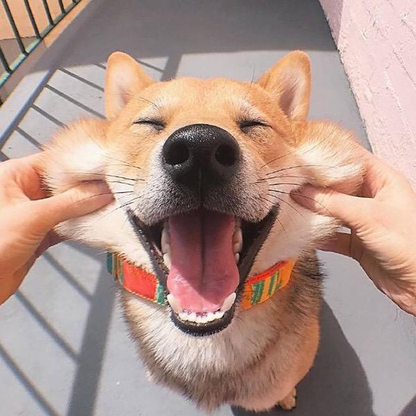 非想