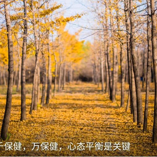 阳光灿烂的日子