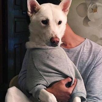 🌈帅气的奥利奥