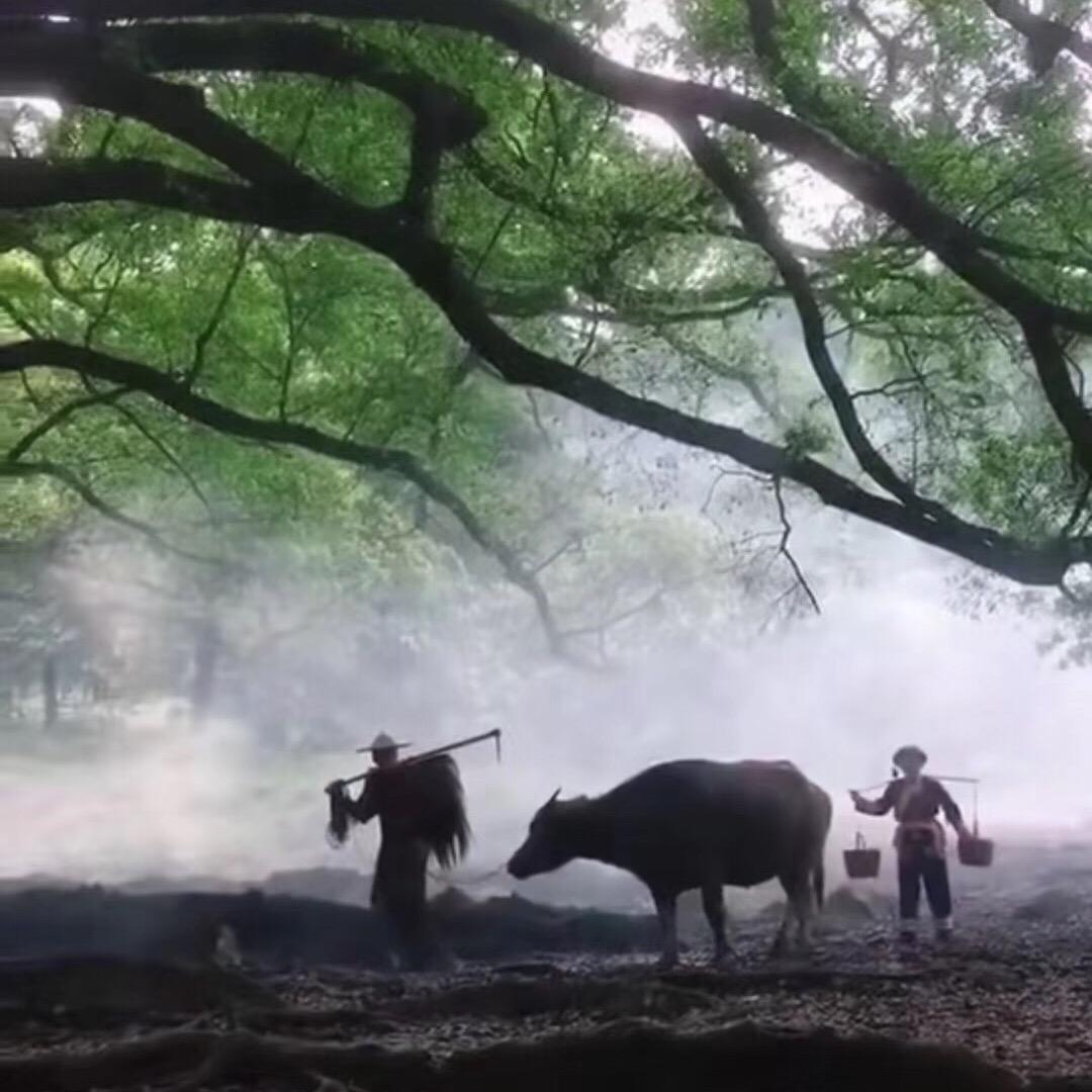 东方红随车吊出租