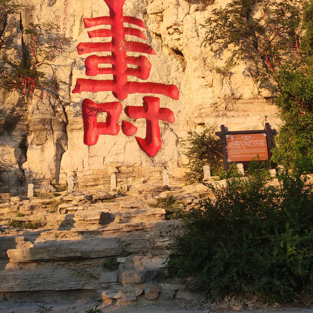 如鱼得水