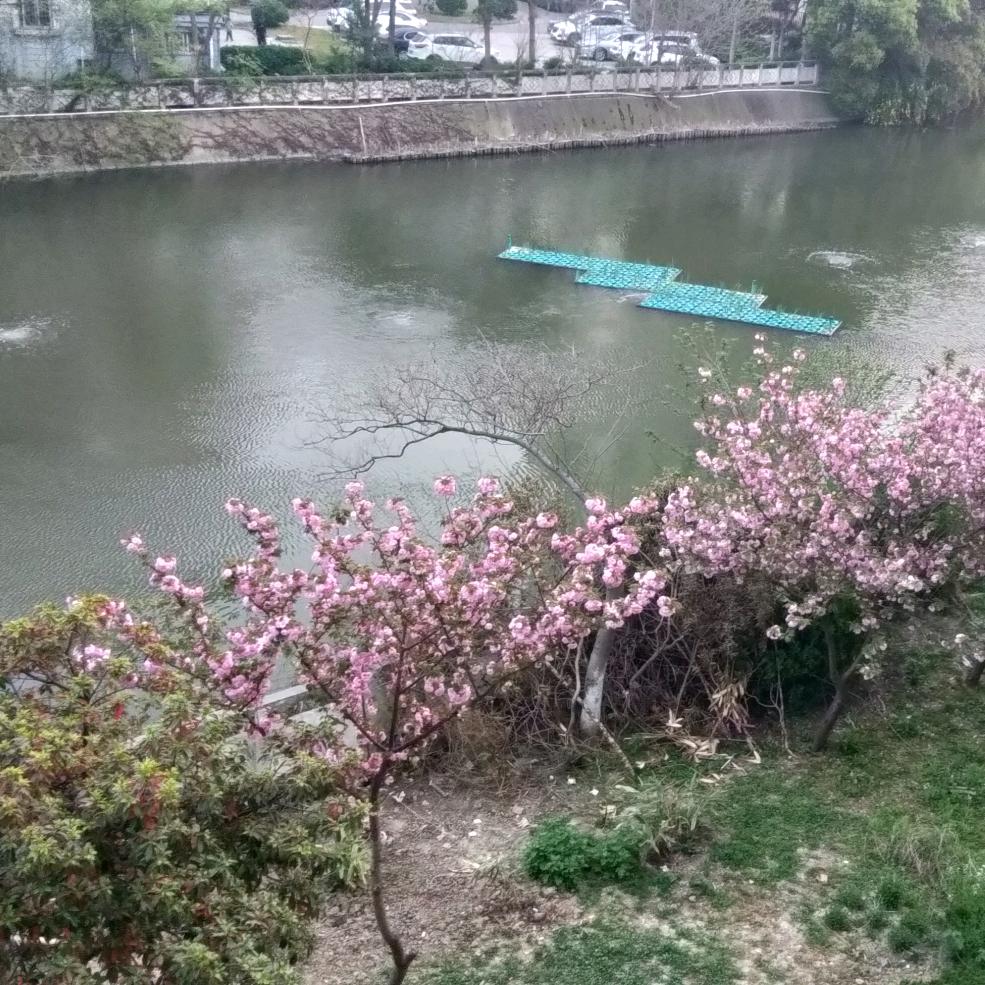 刹那间的永恒