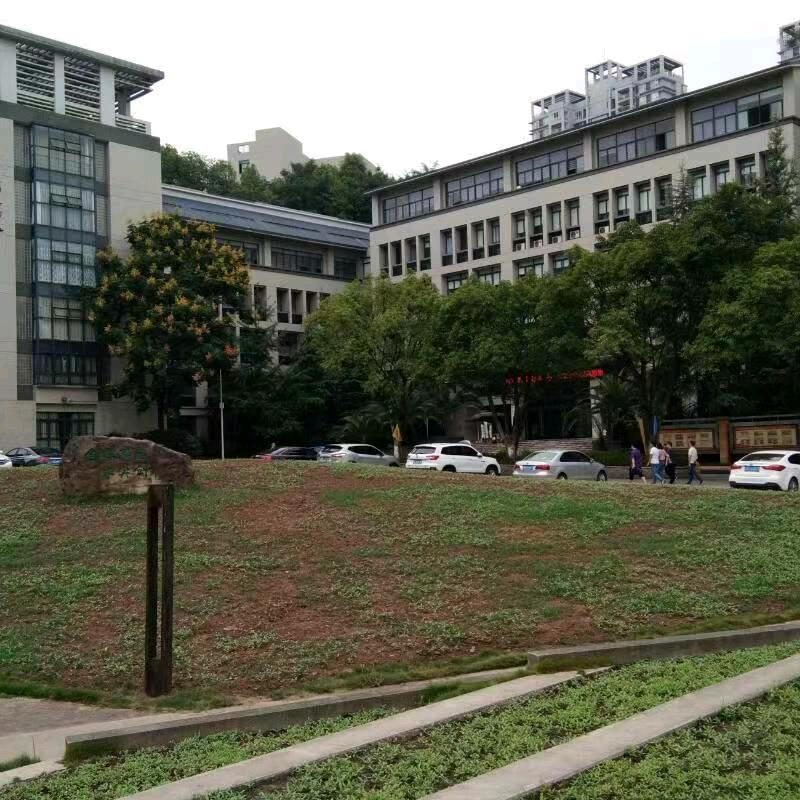 星辰大海，入心的才是人生