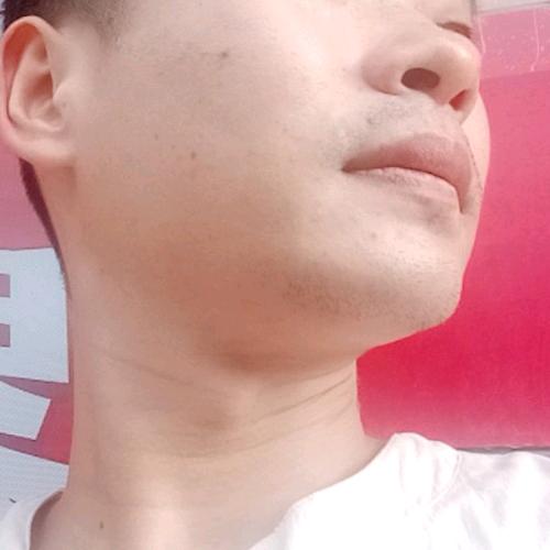 贪玩的蚂蚁
