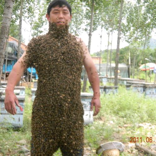 采蜜郎