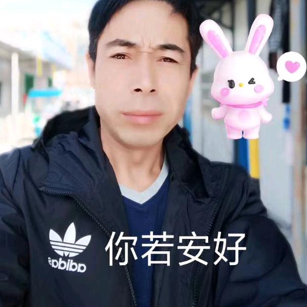 杨锋