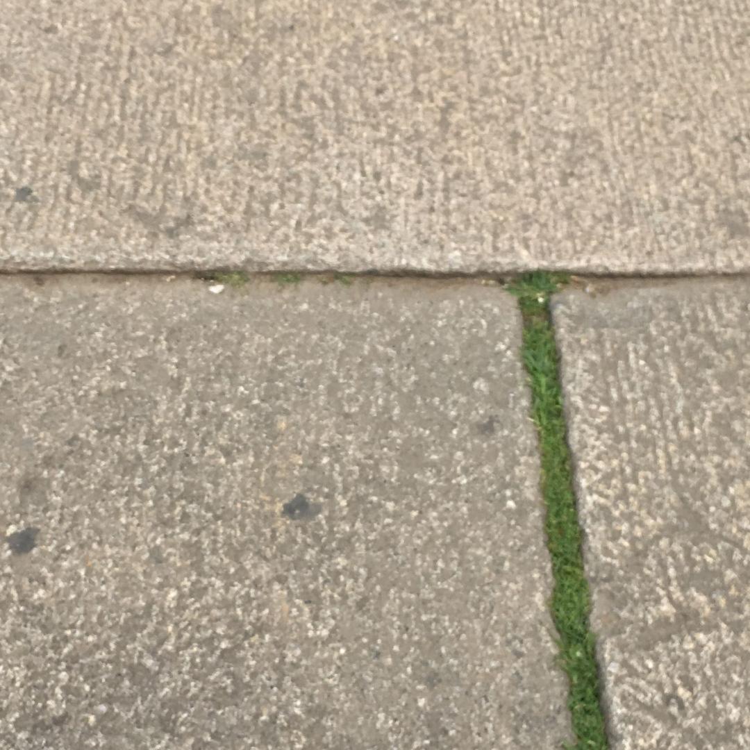 世间万物都不及你