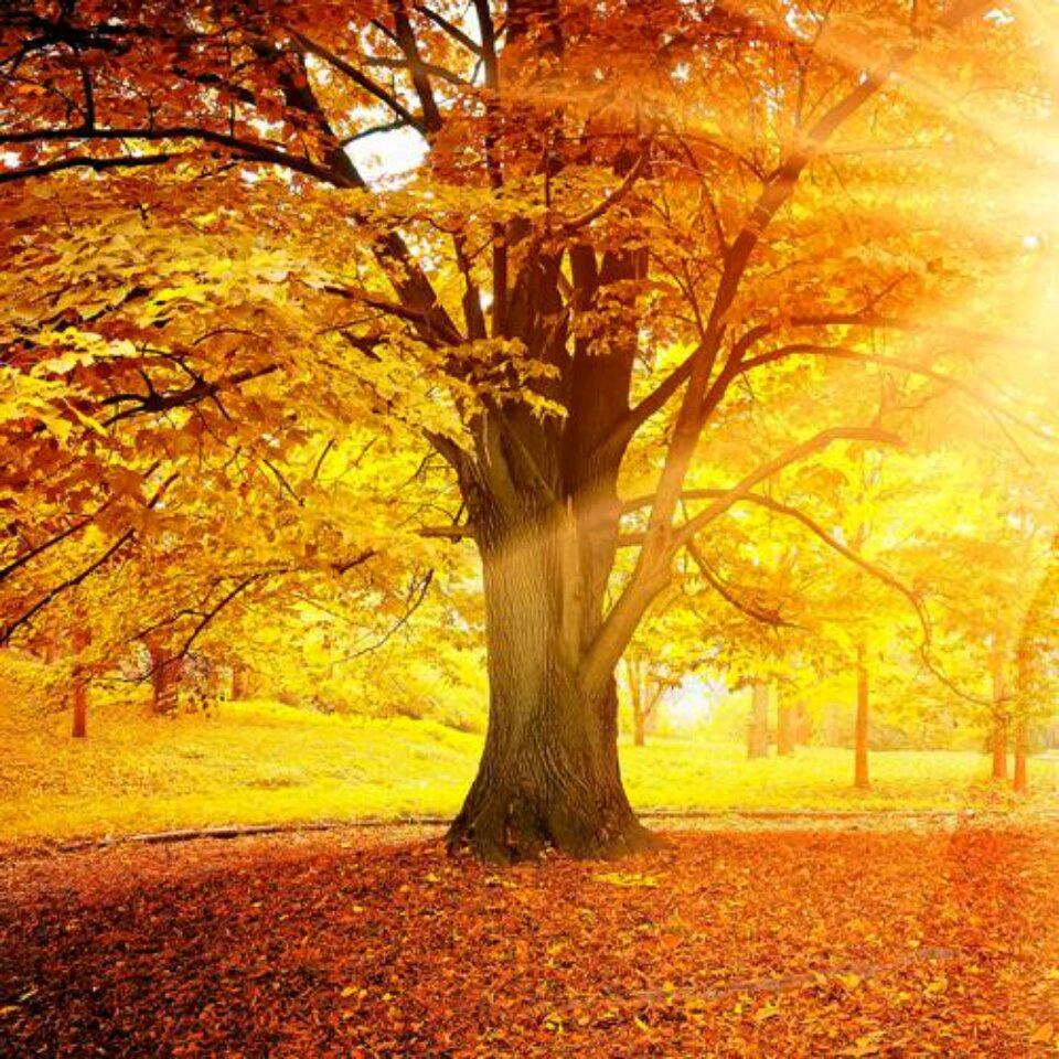 期盼，艳儿爱唱歌