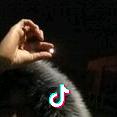 静默如初