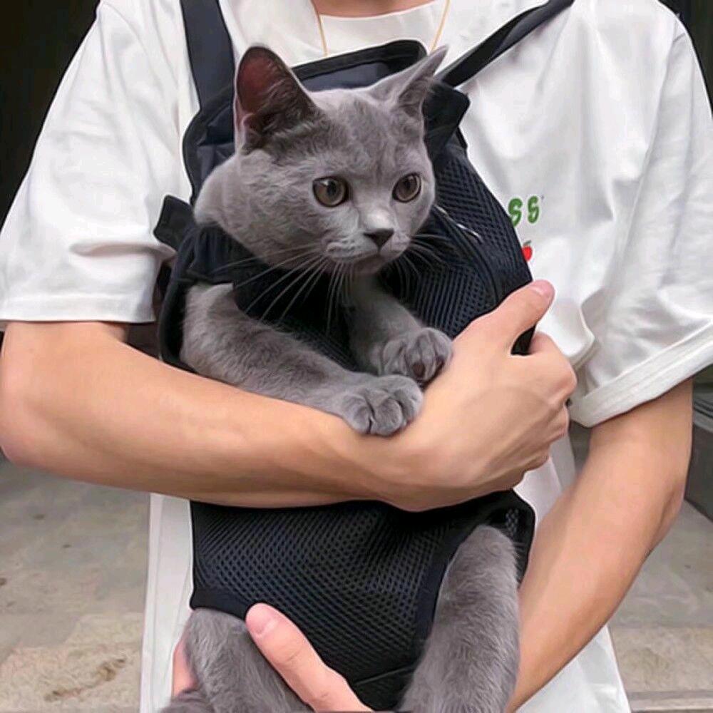 纪博昌