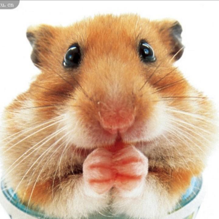 এ᭄ꦿ꯭王*后余生꧔ꦿএ᭄💞