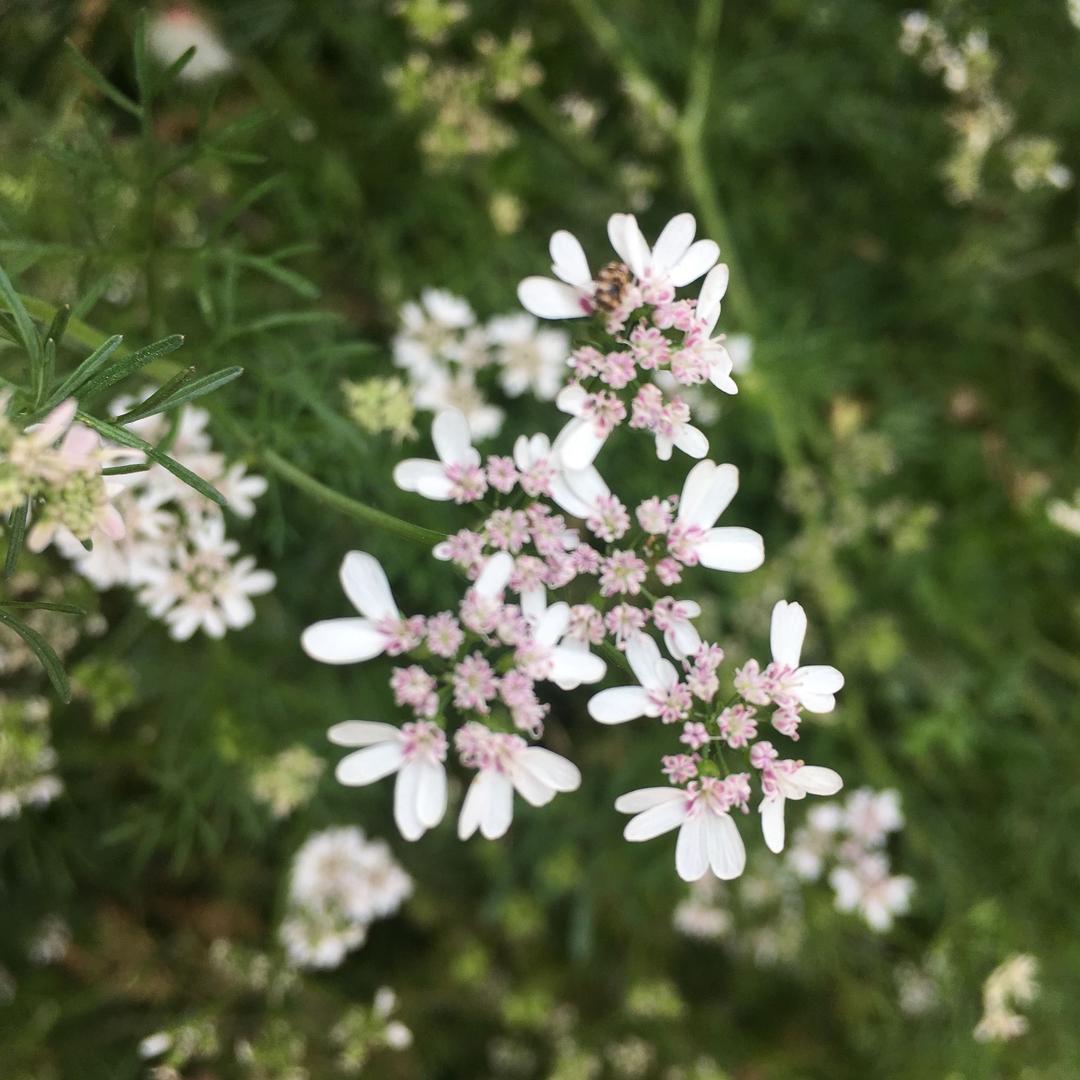 进之峰不锈钢制品厂