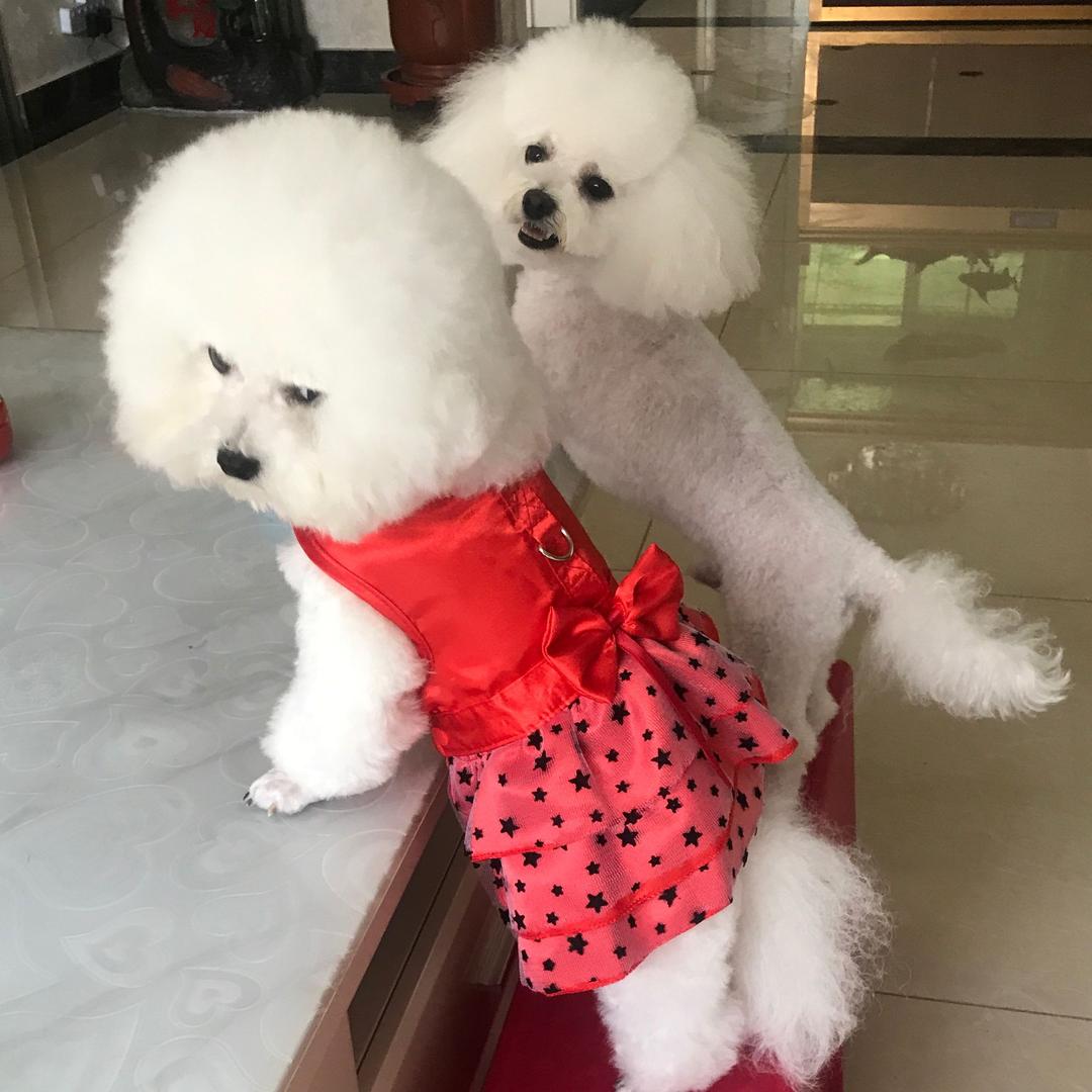 快乐豆