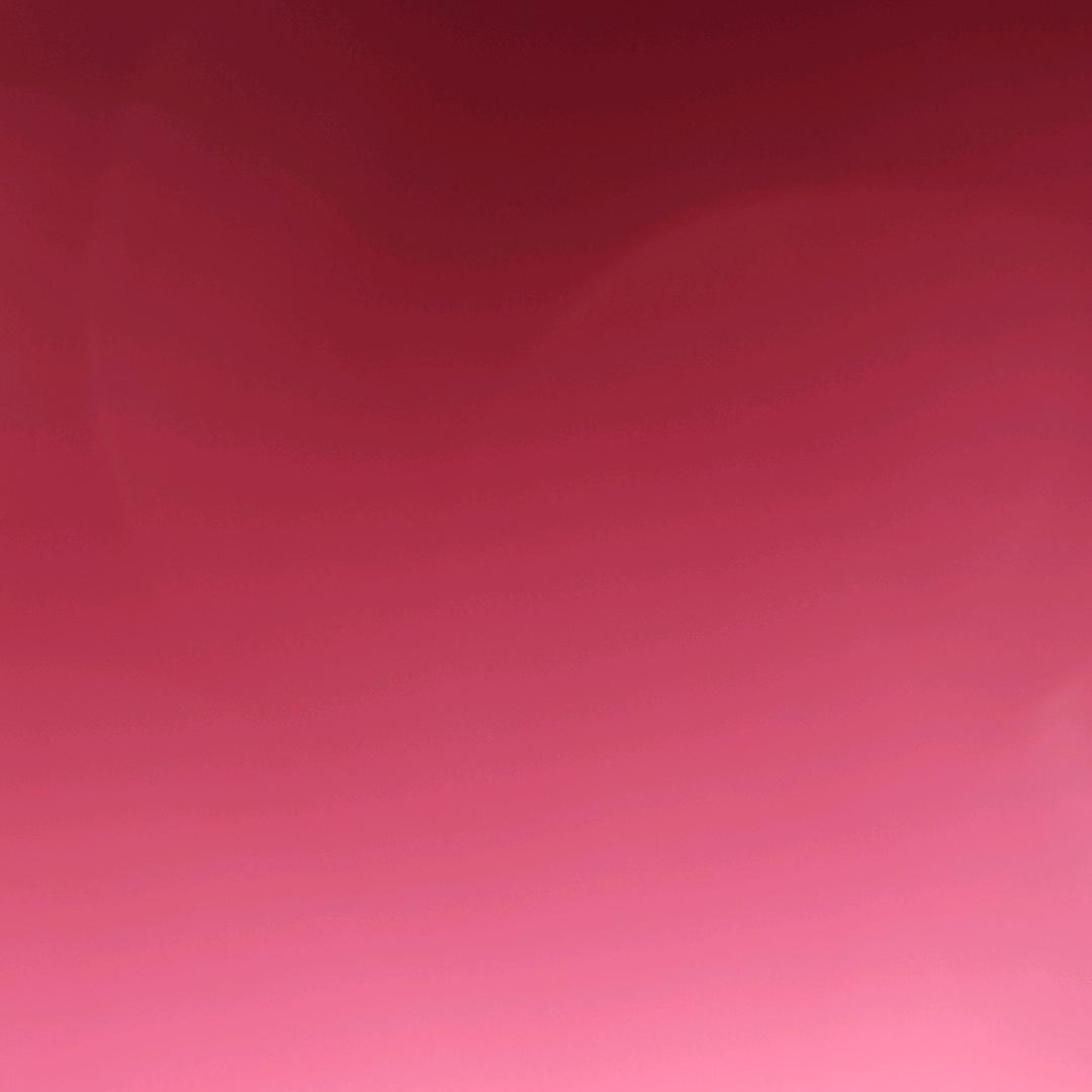 樱花雨