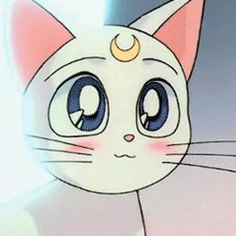 小梅子..