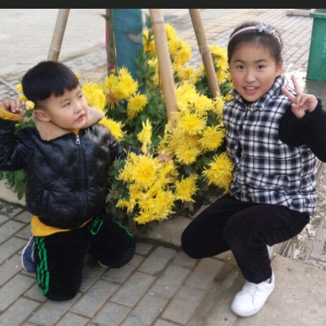 🌻@珠珠泡菜里脊肉饼