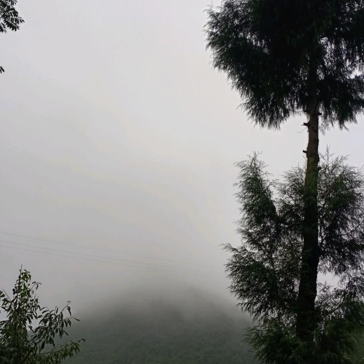 讨厌酒的味道!却爱上了醉的感觉!