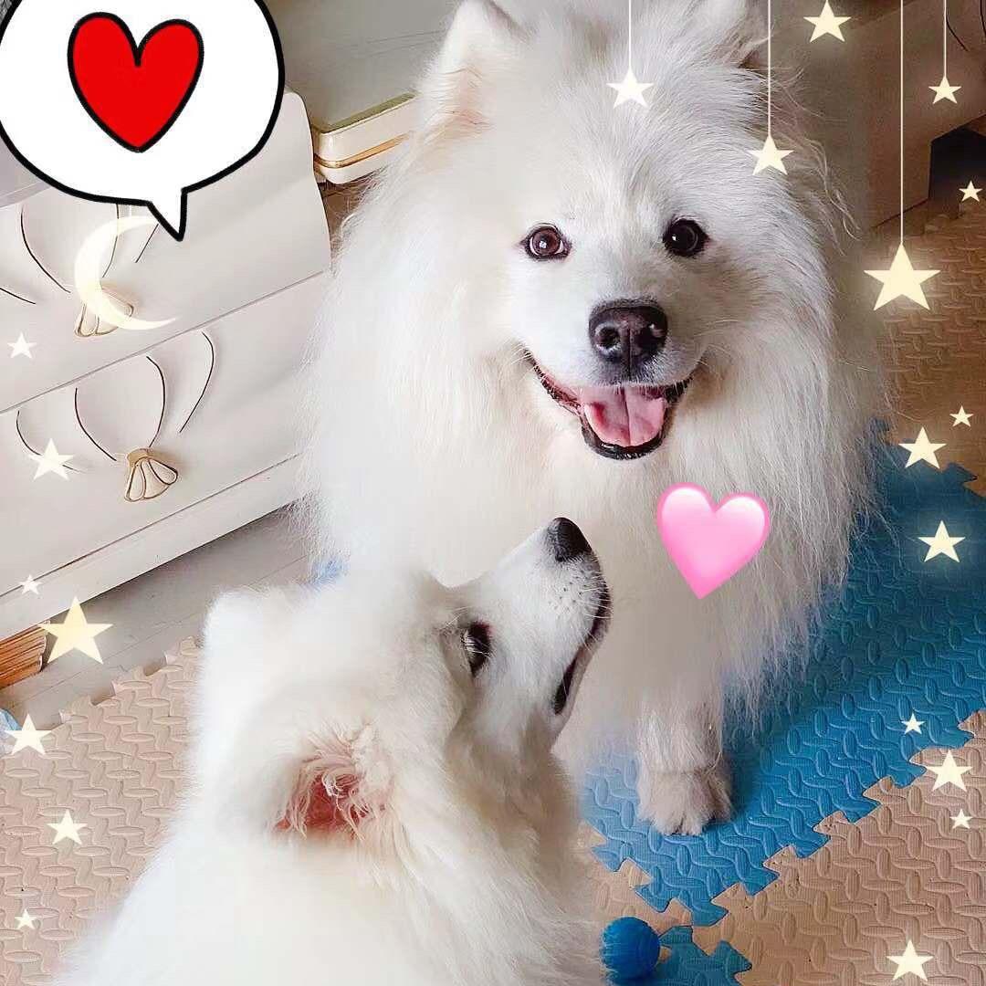 北鼻