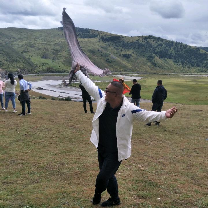 王大拿，日本墙纸窗帘 墙布皮革软硬包工厂