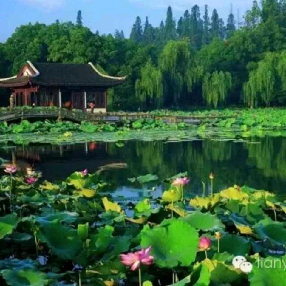 巢湖市成雷庐剧团有限公司