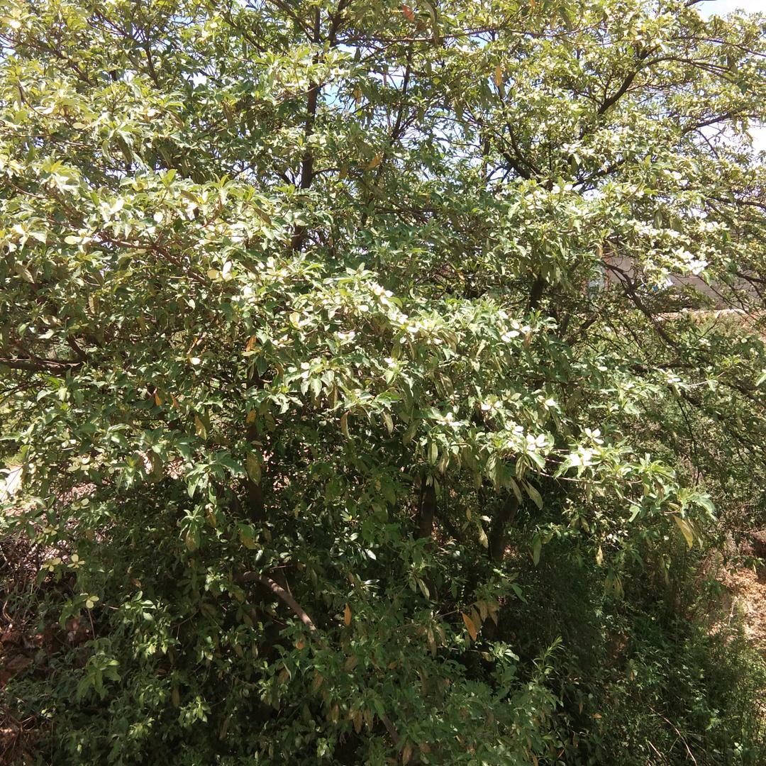昵称已重置