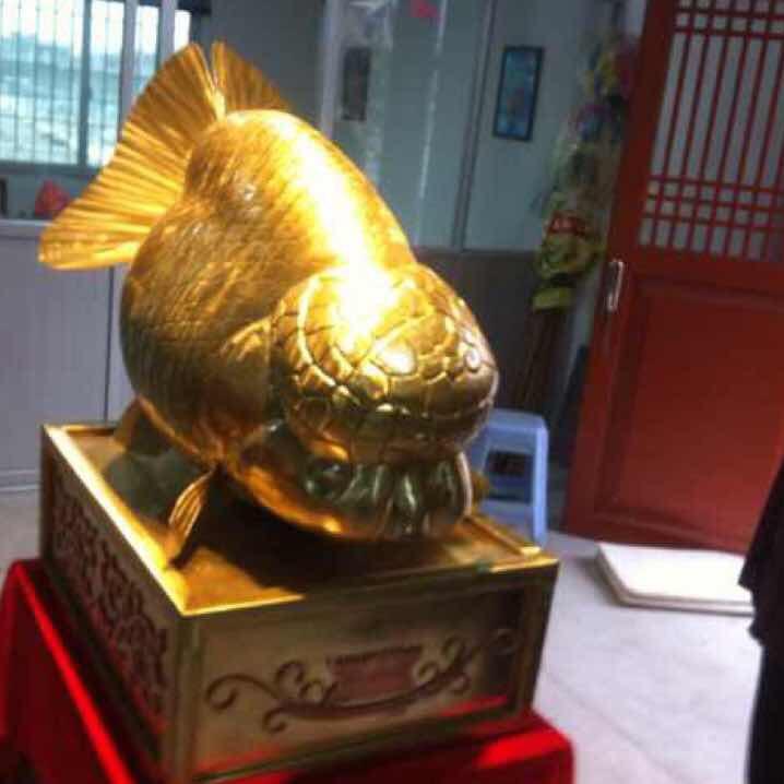 潘氏金鱼