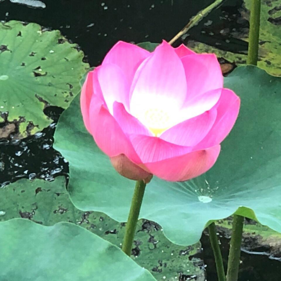 婷婷🌈🌈