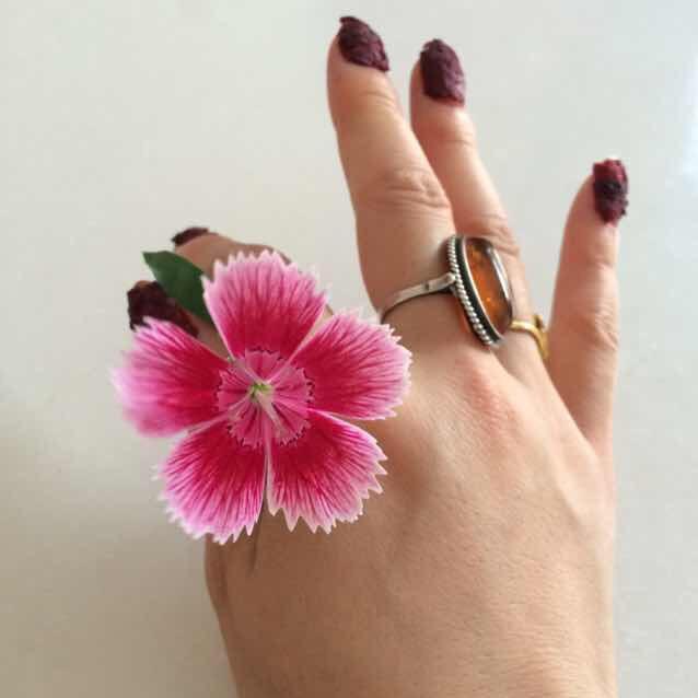 一诺（虔菁）千金