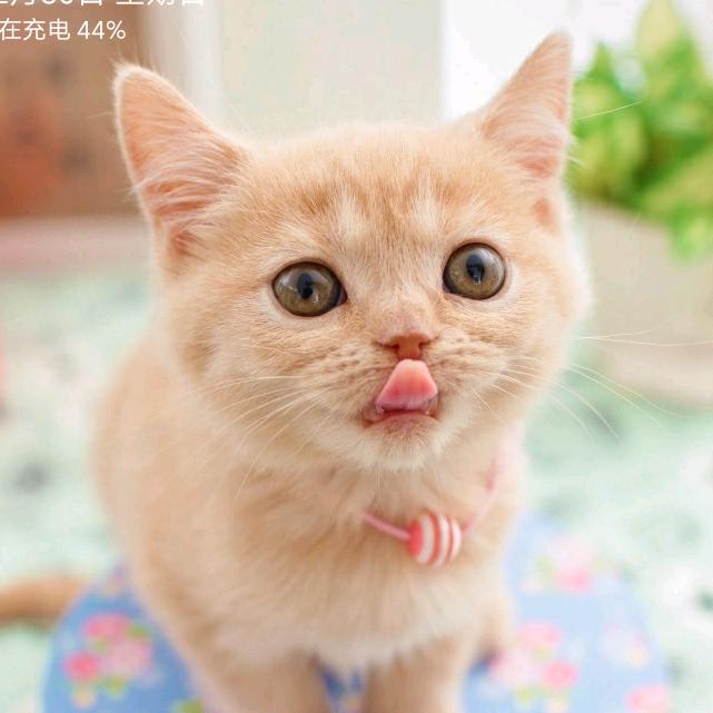 ♥家和万事兴^O^