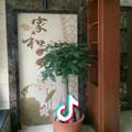 家居装修