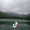 燕燕