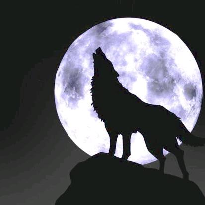 往事随风。风过无痕