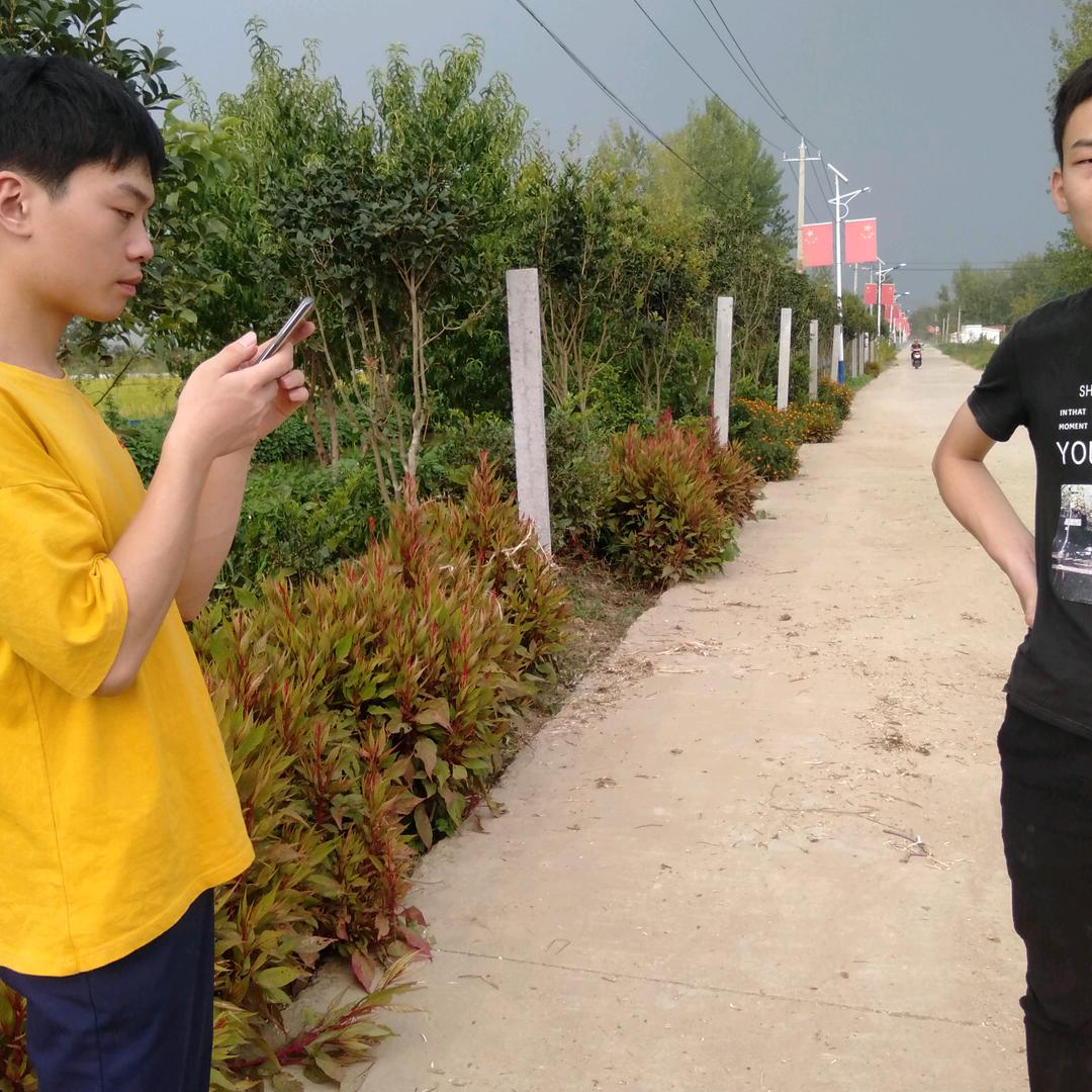 用户492655279677七六年的我