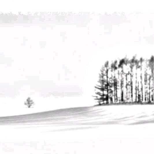 河岸韩先生
