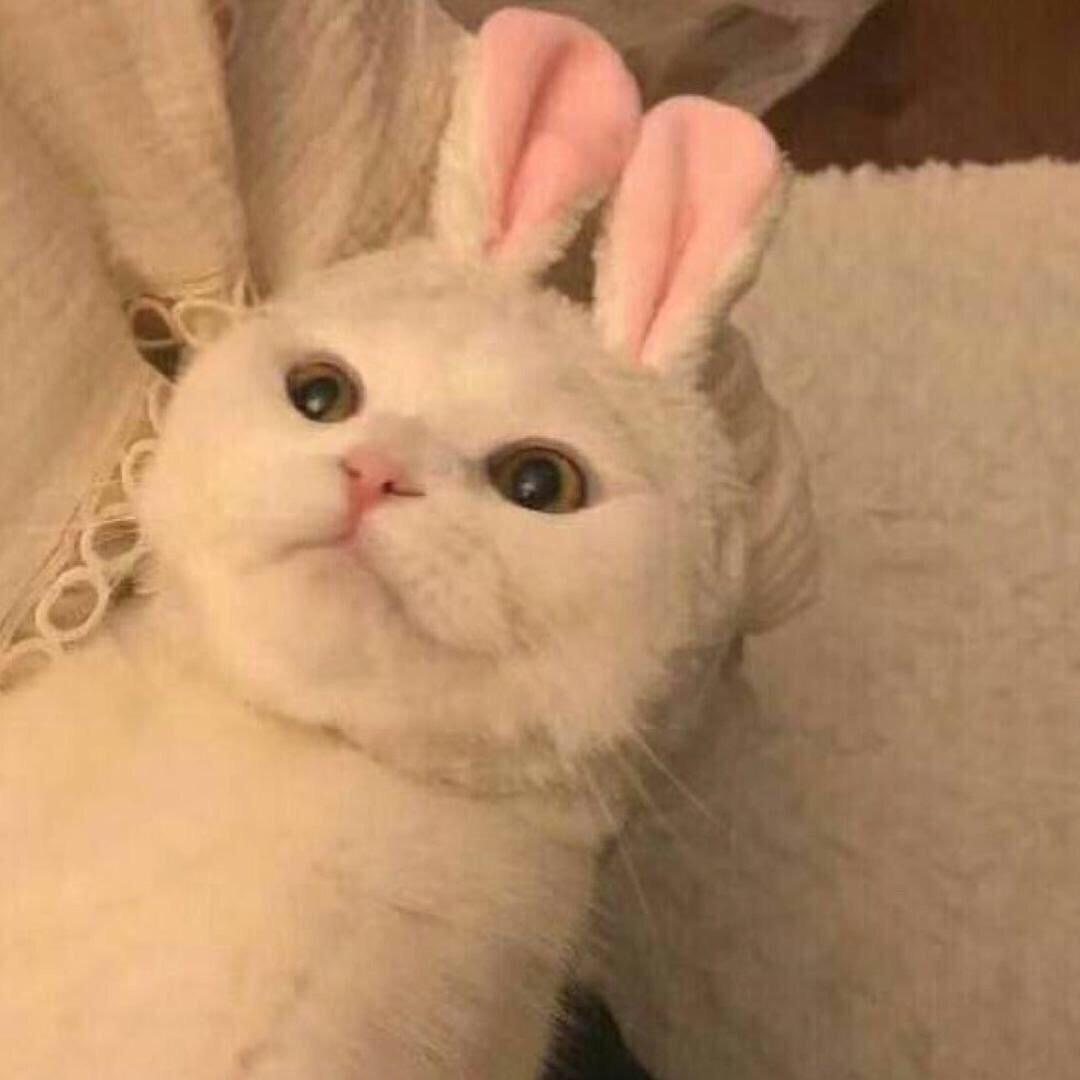 晚饭都是多余的