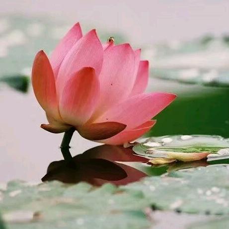 戏曲爱好者  周先生