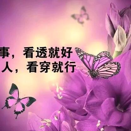 思念的痛