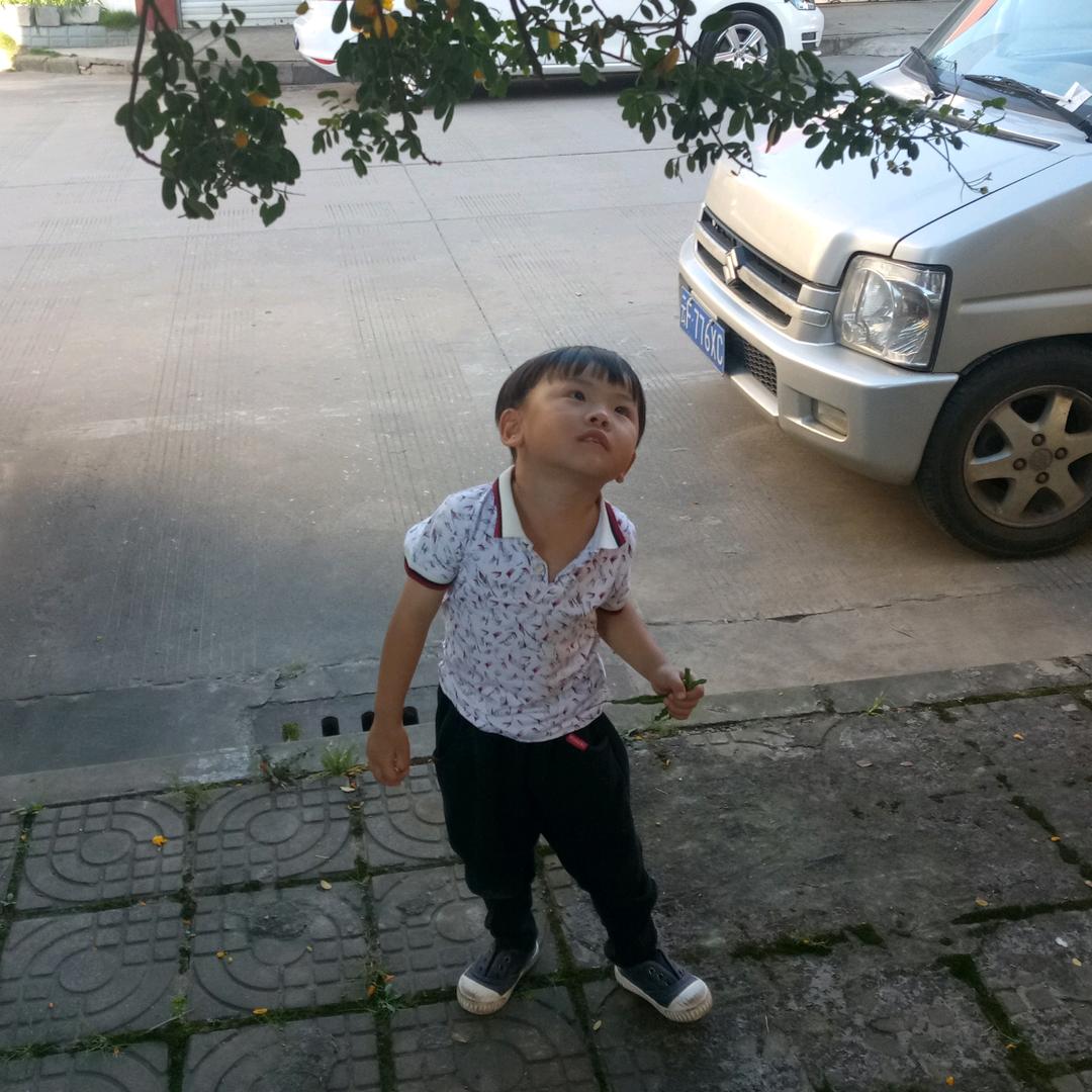 明