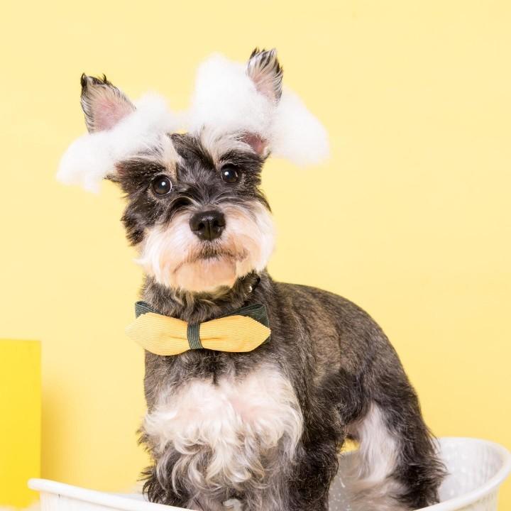 开心ヽ(○^㉨^)ﾉ