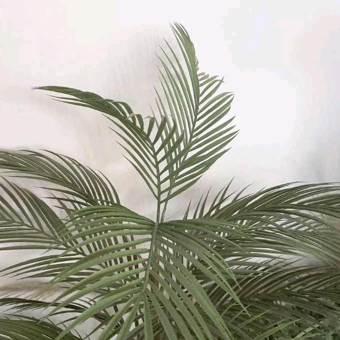 余生只想把你宠